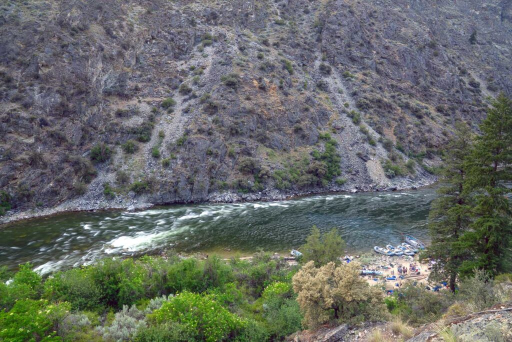 Parrot Placer Middle Fork