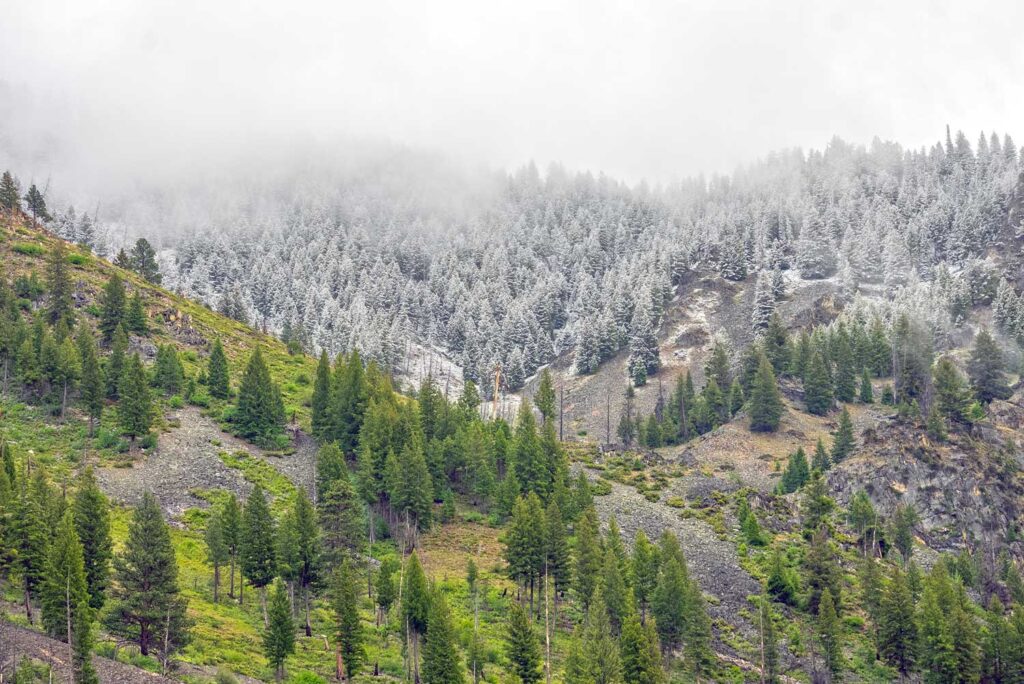 Middle Fork Salmon River