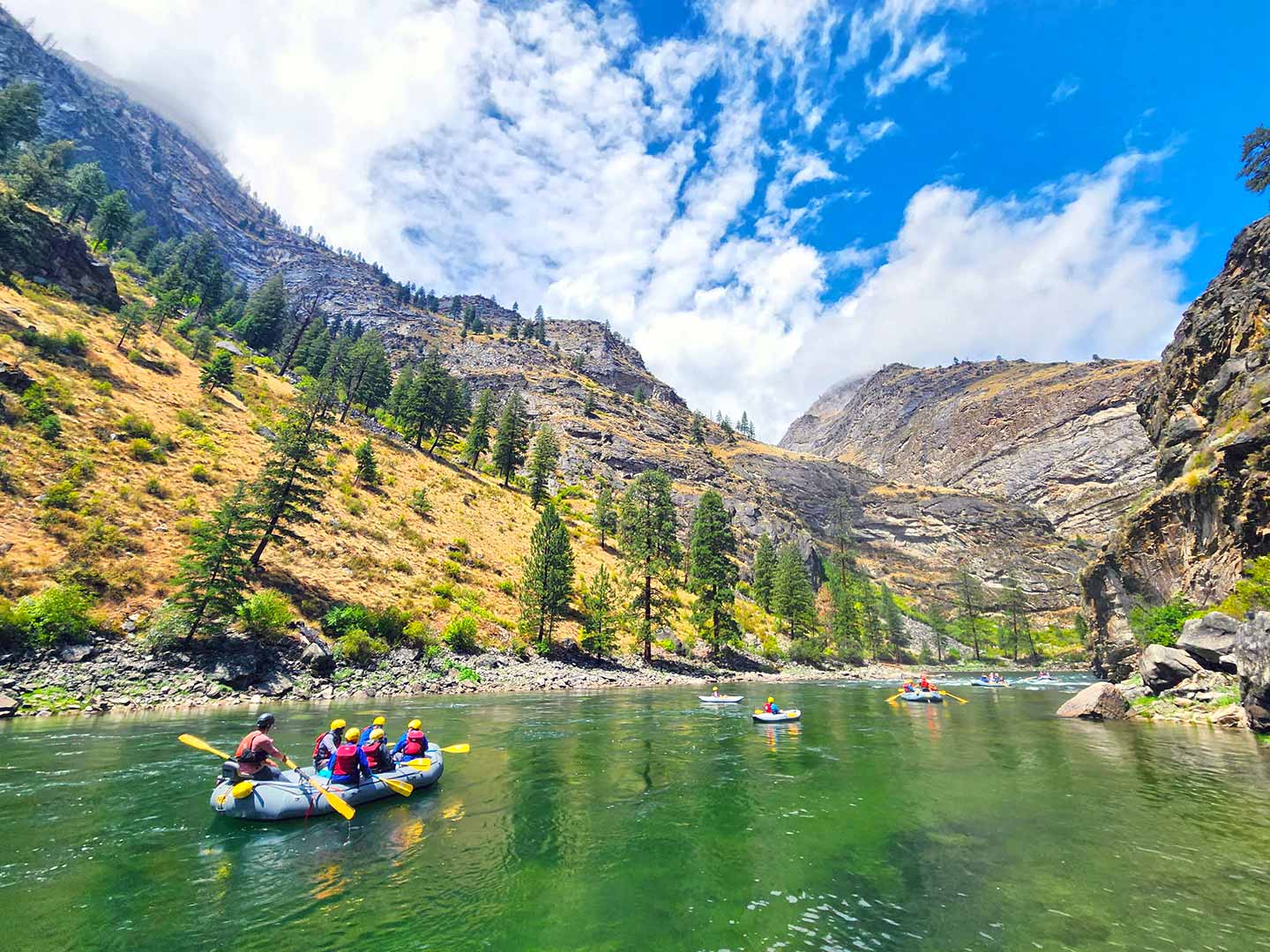 Middle Fork Salmon River