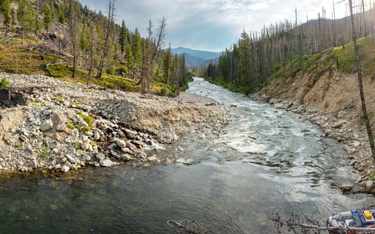 Middle Fork Salmon Blowouts