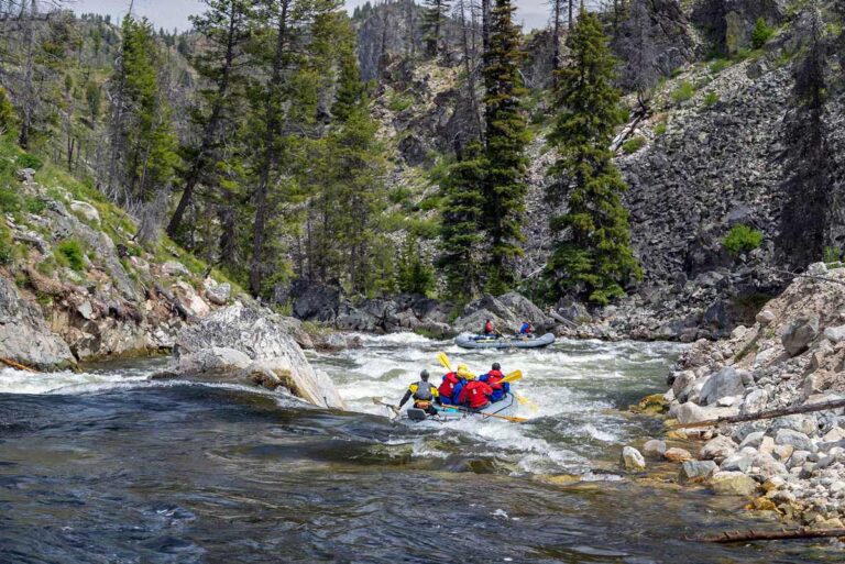 Velvet Falls Paddle Boat